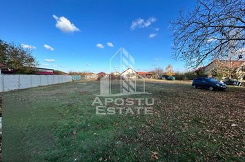 Parcela 1000 mp, vatra satului, case noi, Peciu Nou, Jud. Timis anunturi imobiliare Timis