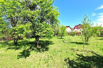 VANZARE TEREN 2800 MP. + CONSTRUCTIE BRANSATA LA UTILITATI - CORNU DE JOS anunturi imobiliare Prahova
