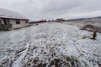 Teren de vanzare BISTRITA - Bistrita-Nasaud anunturi imobiliare Bistrita-Nasaud