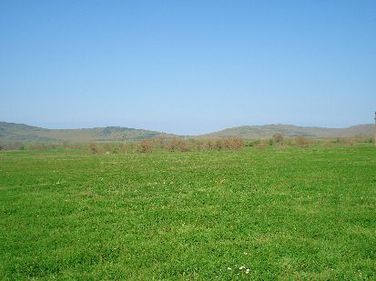 Plan de criză: vânzarea de terenuri