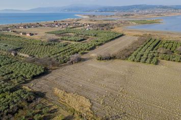 Teren agricol 4.000 mp în Paralia Ofriniou anunturi imobiliare Grecia