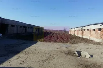 Teren Balotesti- Saftica- ideal pentru constructie locuinte. anunturi imobiliare Bucuresti