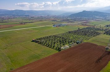 Teren agricol 3.353 mp în Kiria, lângă drumul provincial anunturi imobiliare Grecia