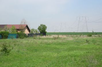 Domnesti-Narciselor-Simfoniei anunturi imobiliare Bucuresti