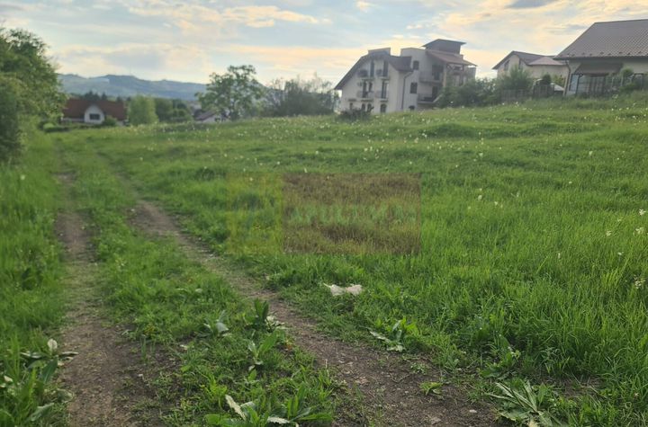 Teren Intravilan de vanzare MUSCEL - Prahova anunturi imobiliare Prahova