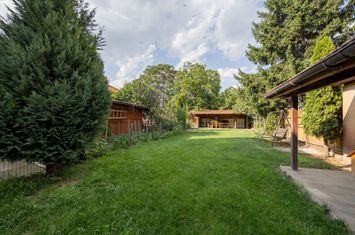 Apartament ultracentral cu 3 camere, 2 băi și curte privată anunturi imobiliare Arad