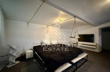 Apartament renovat cu o camera si curte, 2 bai, 50 mp, Piata Romanilor anunturi imobiliare Timis