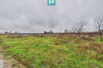 Teren intravilan de 4131 mp, în orașul Sebiș, Arad anunturi imobiliare Arad