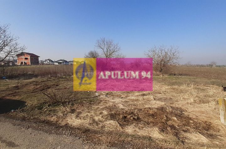Teren investitie Ilfov anunturi imobiliare Bucuresti