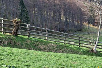 Teren Intravilan de vanzare BRAN - Brasov anunturi imobiliare Brasov