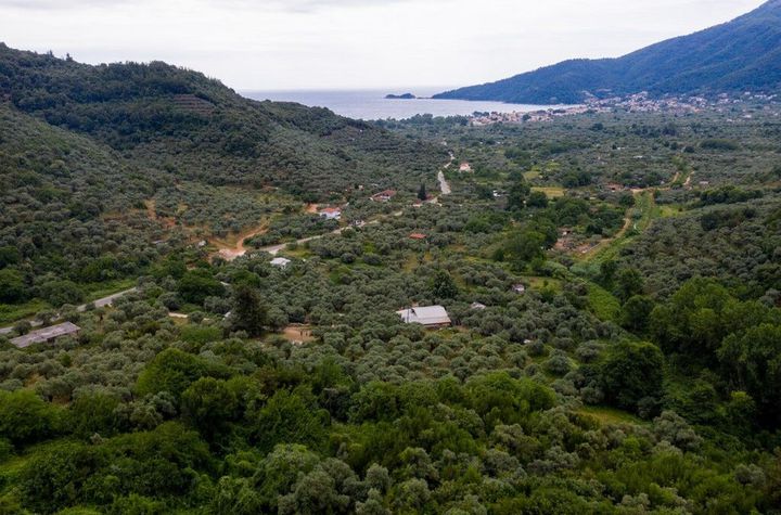 Teren construibil 6.596 mp în Chrisi Ammoudia, Thassos anunturi imobiliare Grecia