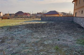 Teren Intravilan de vanzare BORS  - Bihor anunturi imobiliare Bihor