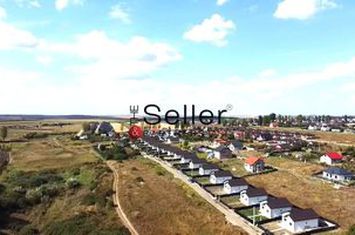 Teren Proslnici la 80 m de șoseaua Iași Voinesti anunturi imobiliare Iasi