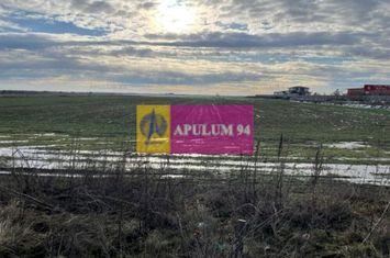 Teren Mihailesti- langa Dovinot. anunturi imobiliare Giurgiu