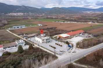 Spațiu industrial-comercial 1.200 mp, teren 4.150 mp anunturi imobiliare Grecia