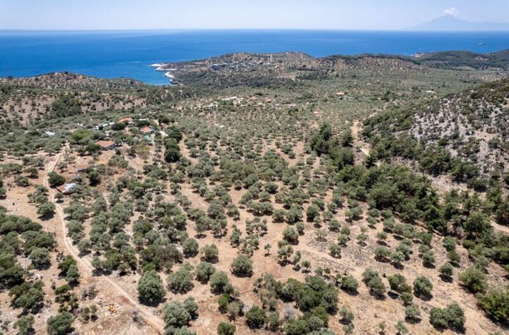 Teren agricol 2.135 mp cu vedere la mare — Astrida anunturi imobiliare Grecia