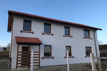 Vilă - 4 camere de vanzare HAMBA - Sibiu anunturi imobiliare Sibiu