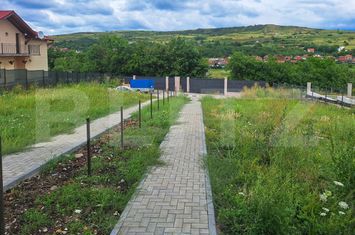 Vilă - 5 camere de vanzare CHINTENI - Cluj anunturi imobiliare Cluj
