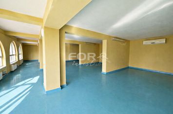 Spatiu comercial P+M, 200mp de inchiriat zona Oncea anunturi imobiliare Bihor
