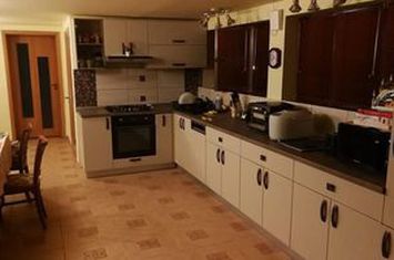 Casă individuală în Moșnița Veche anunturi imobiliare Timis