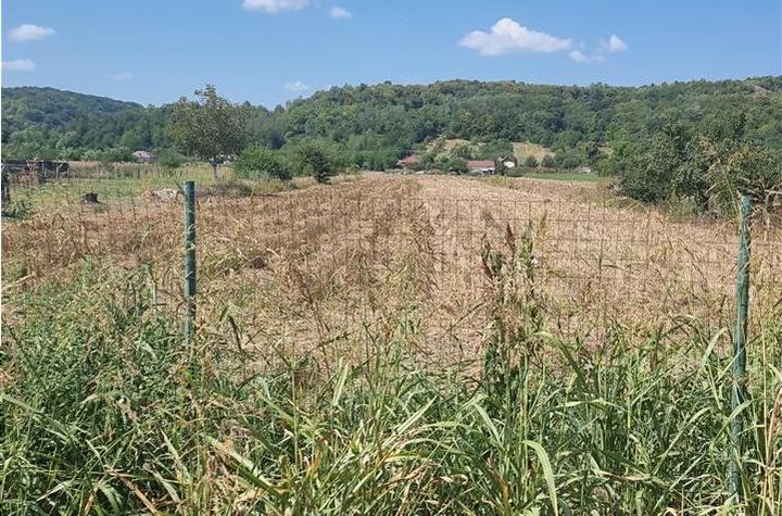 Teren Intravilan de vanzare MIHAESTI - Valcea anunturi imobiliare Valcea