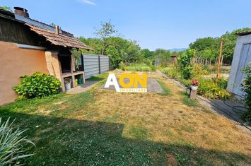 Proprietate cu potențial mixt – locuință și spațiu de lucru în Partoș anunturi imobiliare Alba