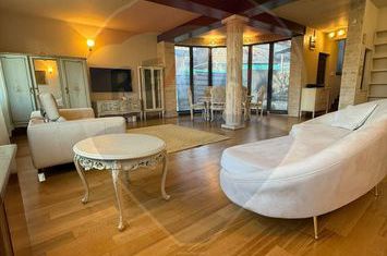 Casă / Vilă de închiriat în Gruia anunturi imobiliare Cluj