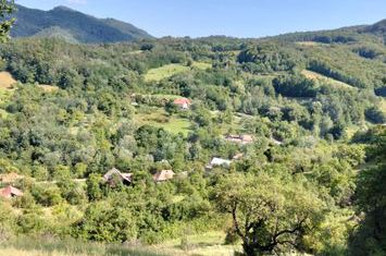 Teren de vanzare POIANA AMPOIULUI - Alba anunturi imobiliare Alba