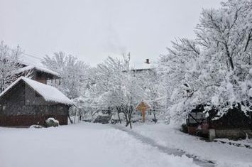 Vilă - 5 camere de vanzare SARD - Alba anunturi imobiliare Alba