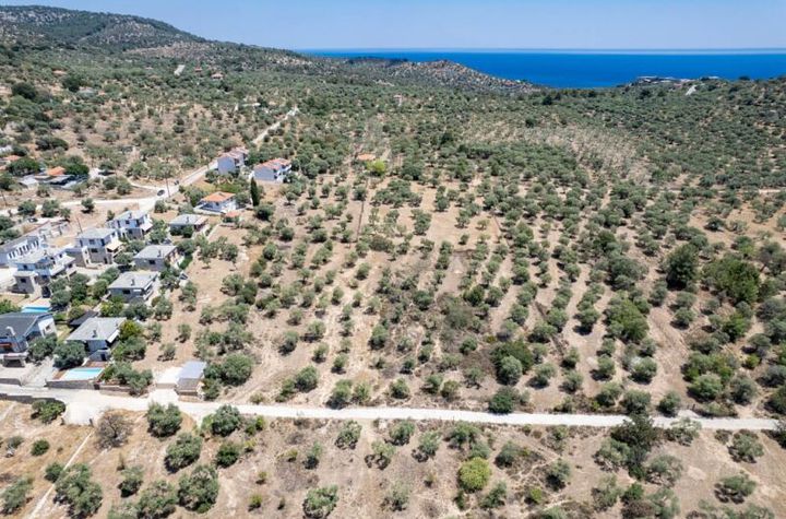 Parcelă 2320 mp cu vedere la mare în Astrida, Thassos anunturi imobiliare Grecia
