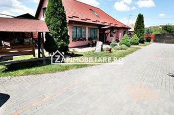 Casa 5 camere, 250 mp,3 băi,2.500mp teren,  0% comision anunturi imobiliare Mures