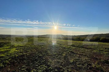 Teren de vanzare ORADEA - Bihor anunturi imobiliare Bihor