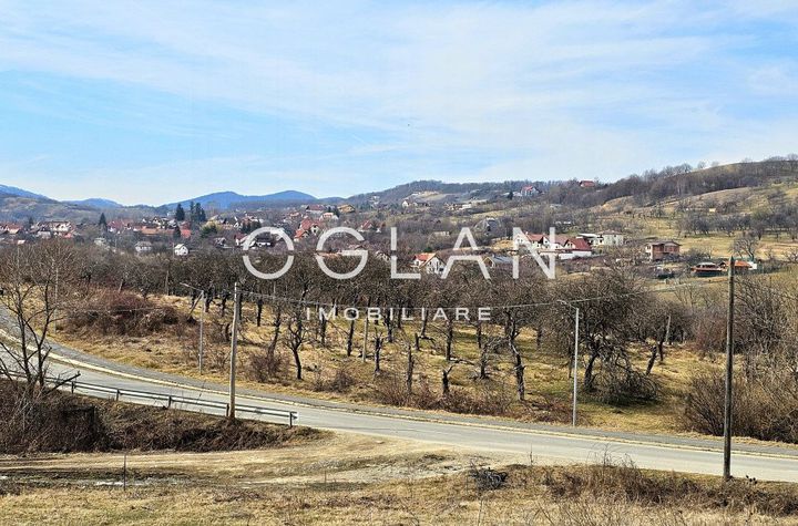 Teren de vanzare CISNADIE - Sibiu anunturi imobiliare Sibiu