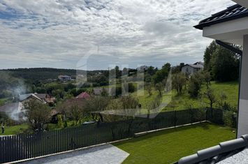 Vilă - 4 camere de vanzare FELEACU - Cluj anunturi imobiliare Cluj