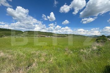 Teren de vanzare BISTRITA - Bistrita-Nasaud anunturi imobiliare Bistrita-Nasaud