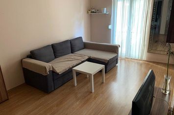 Floreasca, Parc Garibaldi, inchiriere apartament 2 camere, mobilat si utilat, imobil reabilitat, anunturi imobiliare Bucuresti