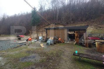Casă - 6 camere de vanzare BISTRITA - Bistrita-Nasaud anunturi imobiliare Bistrita-Nasaud