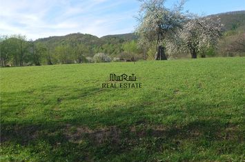 Teren Intravilan de vanzare LUNCOIU DE JOS - Hunedoara anunturi imobiliare Hunedoara