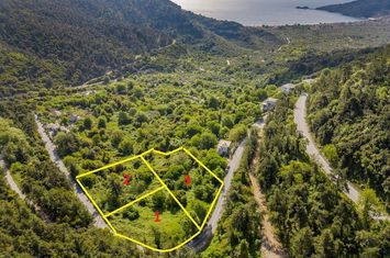 Teren construibil 2.177 mp în Panagia, Thassos anunturi imobiliare Grecia