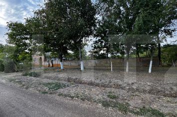 Casă - 4 camere de vanzare CEBZA - Timis anunturi imobiliare Timis