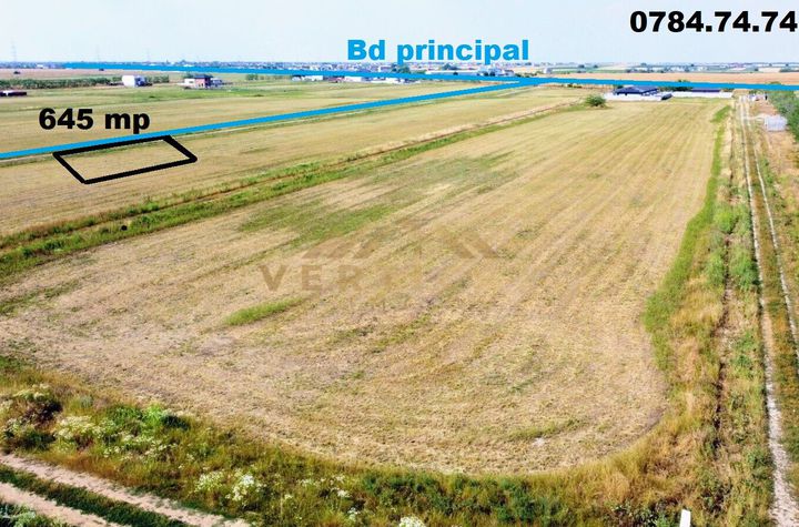 Teren Intravilan de vanzare COMUNA BERCENI - Bucuresti anunturi imobiliare Bucuresti