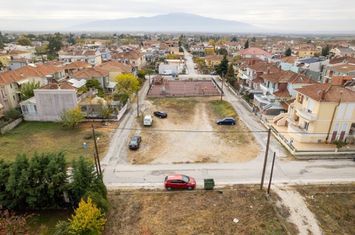 Teren 857 mp în Nea Kromni, Drama anunturi imobiliare Grecia