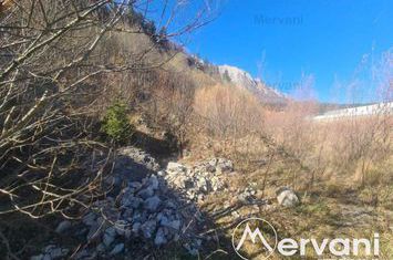 Teren Intravilan de vanzare BUSTENI - Prahova anunturi imobiliare Prahova