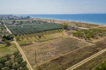 Teren 3115 mp la 80 metri de plajă, Paralia Ofriniou anunturi imobiliare Grecia