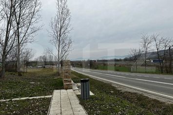 Teren de vanzare RAHAU - Alba anunturi imobiliare Alba