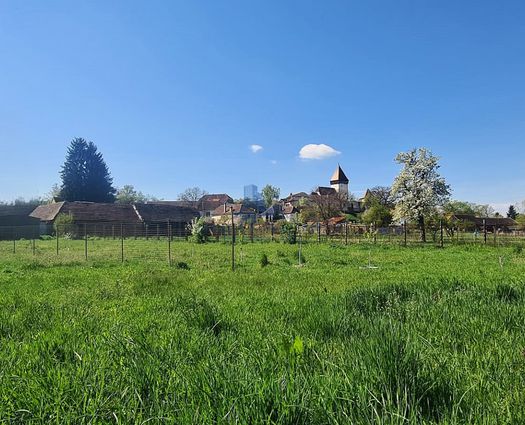 Casă 3 cam Hosman, 122 mp