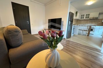 Berceni - Metalurgiei Brown Residence, 2 camere cu loc de parcare anunturi imobiliare Bucuresti