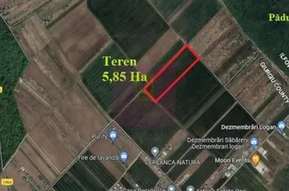 Teren Intravilan de vânzare Giurgiu - Sabareni