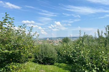 Teren de vanzare SANCRAIU DE MURES - Mures anunturi imobiliare Mures