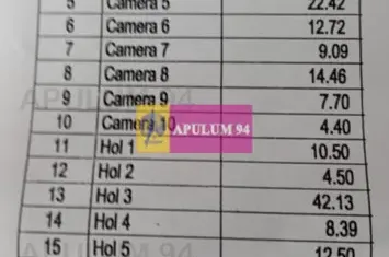 Vila P+1+pod- Parcul Ioanid anunturi imobiliare Bucuresti